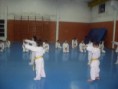 /album/fotos%20exame%20de%20gradua%c3%a7%c3%a3o/karate-11-jpg/